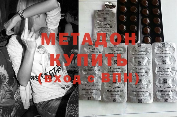 прущие грибы Бронницы