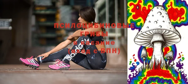 соль ск Верея