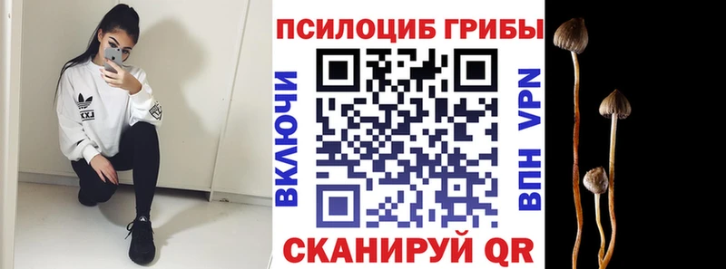 Псилоцибиновые грибы Magic Shrooms  Кирсанов 
